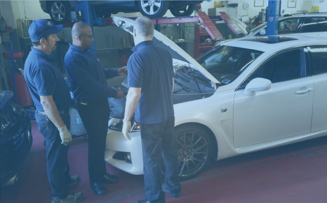 Professionally trained technicians